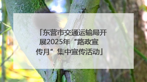 东营市交通运输局开展2025年“路政宣传月”集中宣传活动