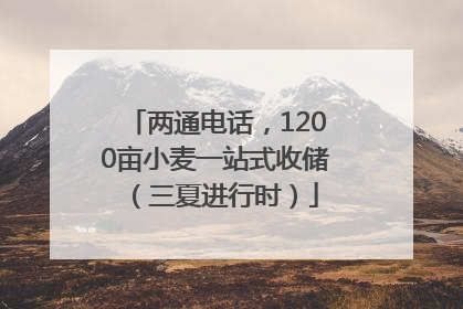 两通电话，1200亩小麦一站式收储（三夏进行时）