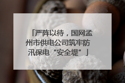严阵以待，国网孟州市供电公司筑牢防汛保电“安全堤”