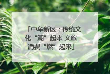 中牟新区：传统文化“潮”起来 文旅消费“燃”起来