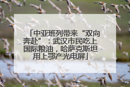 中亚班列带来“双向奔赴”：武汉市民吃上国际粮油，哈萨克斯坦用上鄂产光电屏