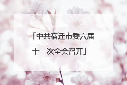 中共宿迁市委六届十一次全会召开