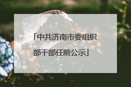 中共济南市委组织部干部任前公示