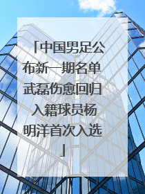 中国男足公布新一期名单武磊伤愈回归 入籍球员杨明洋首次入选