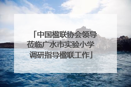 中国楹联协会领导莅临广水市实验小学调研指导楹联工作