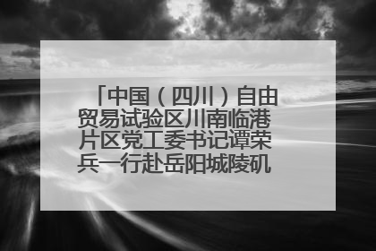 中国（四川）自由贸易试验区川南临港片区党工委书记谭荣兵一行赴岳阳城陵矶综保区考察