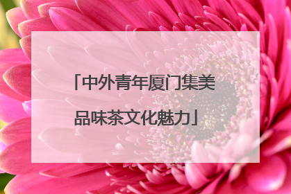 中外青年厦门集美品味茶文化魅力