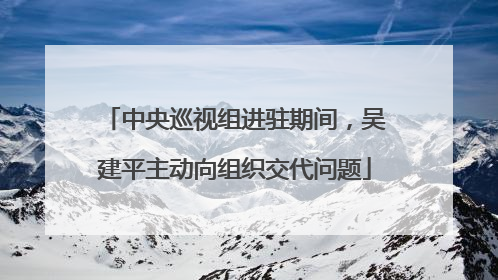 中央巡视组进驻期间，吴建平主动向组织交代问题