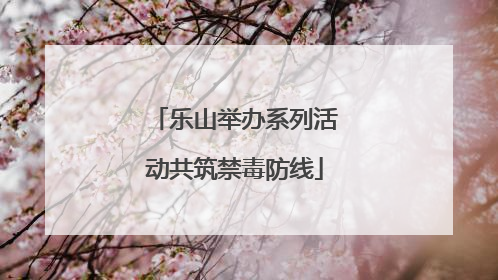 乐山举办系列活动共筑禁毒防线