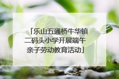 乐山五通桥牛华镇二码头小学开展端午亲子劳动教育活动