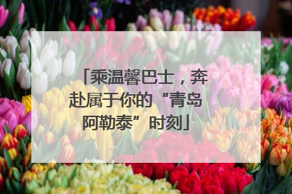 乘温馨巴士，奔赴属于你的“青岛阿勒泰”时刻