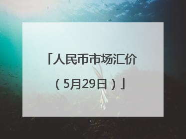 人民币市场汇价（5月29日）