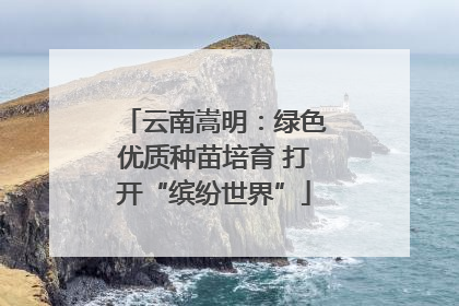 云南嵩明：绿色优质种苗培育 打开“缤纷世界”