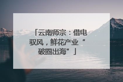 云南师宗：借电驭风，鲜花产业“破圈出海”