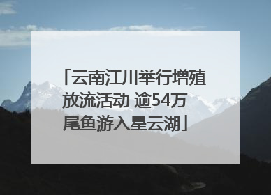 云南江川举行增殖放流活动 逾54万尾鱼游入星云湖
