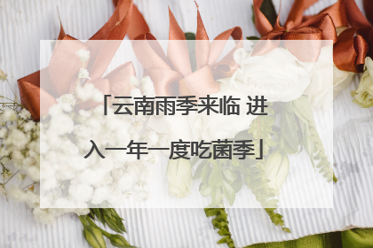 云南雨季来临 进入一年一度吃菌季