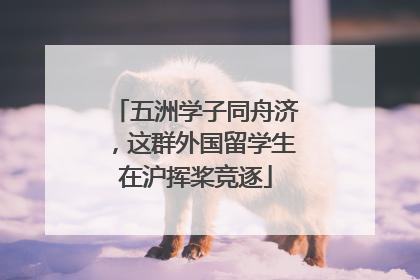 五洲学子同舟济，这群外国留学生在沪挥桨竞逐