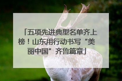五项先进典型名单齐上榜！山东用行动书写“美丽中国”齐鲁篇章