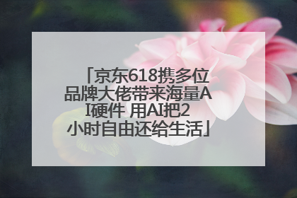 京东618携多位品牌大佬带来海量AI硬件 用AI把2小时自由还给生活