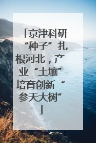 京津科研“种子”扎根河北，产业“土壤”培育创新“参天大树”