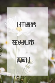 任振鹤在庆阳市调研