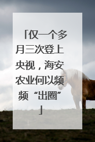 仅一个多月三次登上央视，海安农业何以频频“出圈”