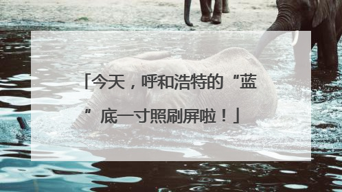 今天，呼和浩特的“蓝”底一寸照刷屏啦！