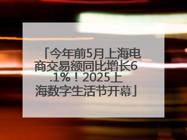 今年前5月上海电商交易额同比增长6.1%！2025上海数字生活节开幕