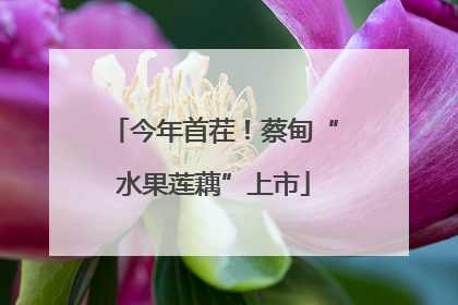 今年首茬！蔡甸“水果莲藕”上市