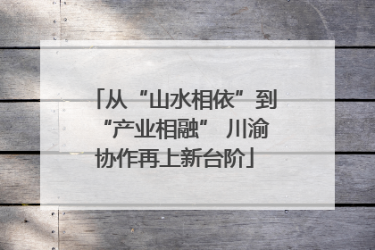 从“山水相依”到“产业相融” 川渝协作再上新台阶