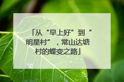 从“早上好”到“明星村”，常山达塘村的蝶变之路