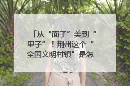 从“面子”美到“里子”！荆州这个“全国文明村镇”是怎样炼成的？