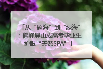 从“题海”到“绿海”：鹤峰屏山成高考毕业生护眼“天然SPA”