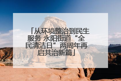 从环境整治到民生服务 永阳街道“全民清洁日”两周年再启共治新篇