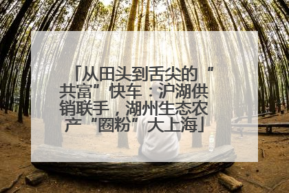 从田头到舌尖的“共富”快车：沪湖供销联手，湖州生态农产“圈粉”大上海