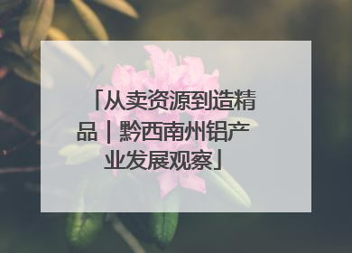 从卖资源到造精品｜黔西南州铝产业发展观察