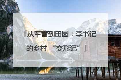 从军营到田园：李书记的乡村 “变形记”
