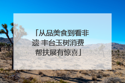 从品美食到看非遗 丰台玉树消费帮扶展有惊喜