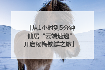 从1小时到5分钟 仙居“云端速递”开启杨梅锁鲜之旅