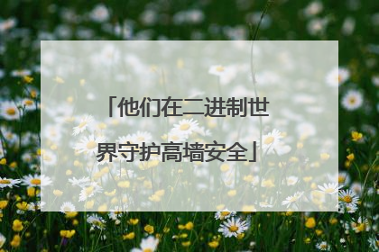他们在二进制世界守护高墙安全