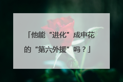 他能“进化”成申花的“第六外援”吗？