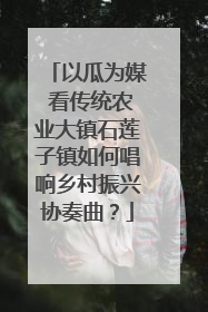 以瓜为媒 看传统农业大镇石莲子镇如何唱响乡村振兴协奏曲？