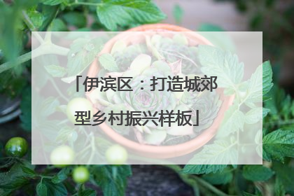 伊滨区：打造城郊型乡村振兴样板