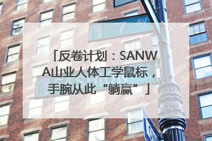 反卷计划：SANWA山业人体工学鼠标，手腕从此“躺赢”