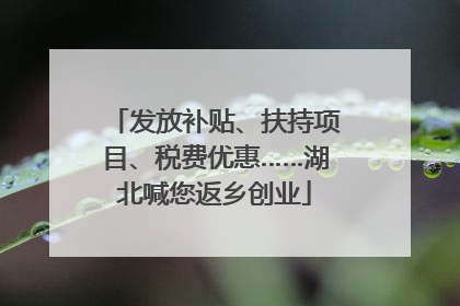 发放补贴、扶持项目、税费优惠……湖北喊您返乡创业