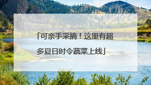 可亲手采摘！这里有超多夏日时令蔬菜上线