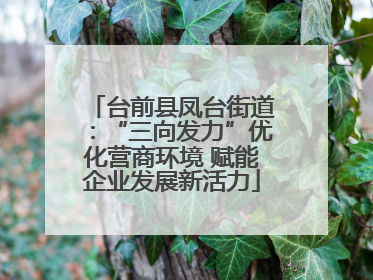 台前县凤台街道：“三向发力”优化营商环境 赋能企业发展新活力