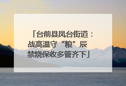台前县凤台街道：战高温守“粮”辰 禁烧保收多管齐下