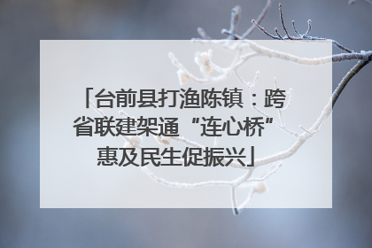 台前县打渔陈镇：跨省联建架通“连心桥” 惠及民生促振兴