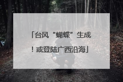 台风“蝴蝶”生成！或登陆广西沿海